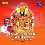 Sri Venkatesa Suprabhatam And Sri Vishnu Sahasranamam On Violin