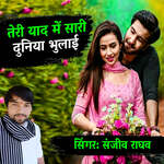 Teri Yaad Mein Sari Duniya Bhulai
