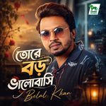 Tore boro bhalobashi