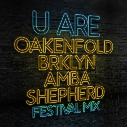 U Are (Festival Mix)_poster_image