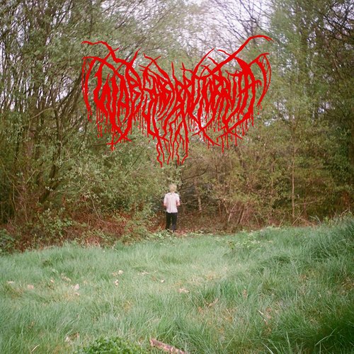 St Pete cover art