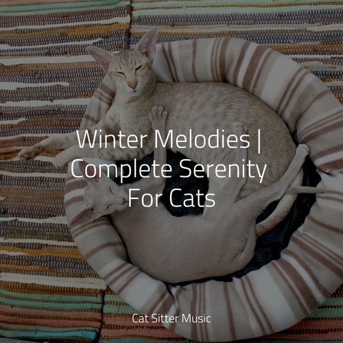 Winter Melodies | Complete Serenity For Cats