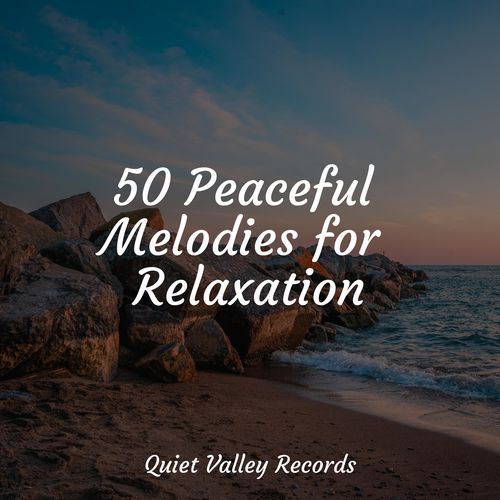 Meditating Music cover art