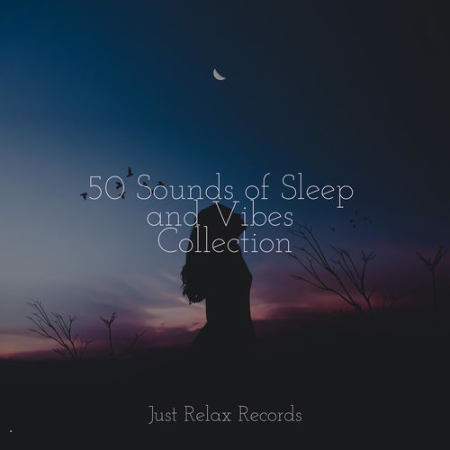 50 Sounds of Sleep and Vibes Collection_poster_image