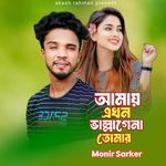 Amai Ekhon Vallagena Tomar