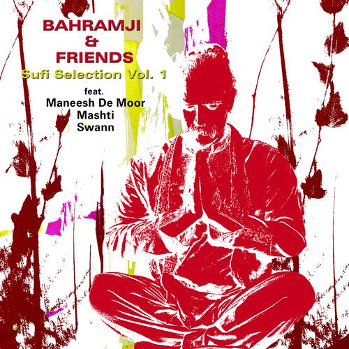 Bahramji & Friends Sufi Selection Vol. 1