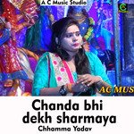 Chanda bhi dekh sharmaya (Hindi Song)