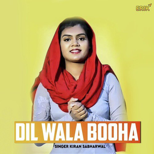 Dil Wala Booha_poster_image