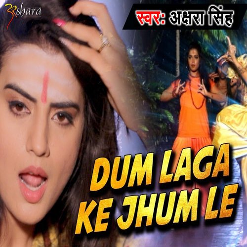 Dum Laga Ke Jhum Le_poster_image