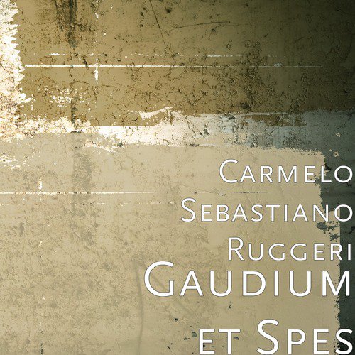 Stream Gaudium music  Listen to songs, albums, playlists for free