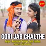 Gori Jab Chalthe