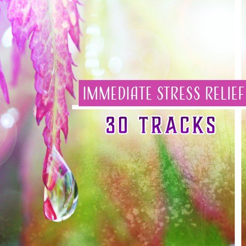 Immediate Stress Relief – 30 Tracks, Relaxation Music for Anxiety Disorders, Therapy Sounds for Meditation, Yoga, Peace & Balance