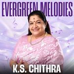 Palaivanathil