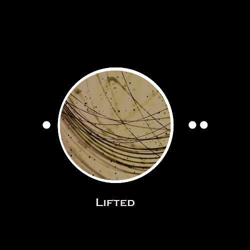 Gravity (Original Mix)