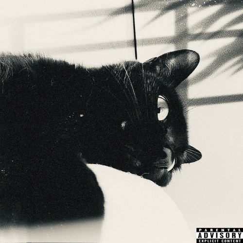 Ray & Rya cover art