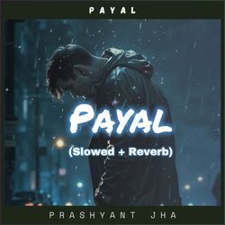 Payal Slowed &amp; Reverb