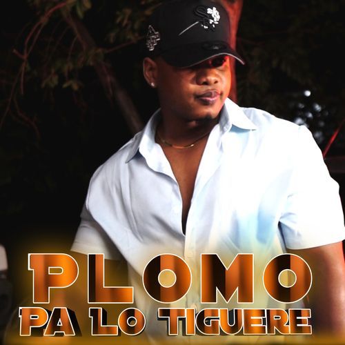 Plomo Pa Lo Tiguere cover art