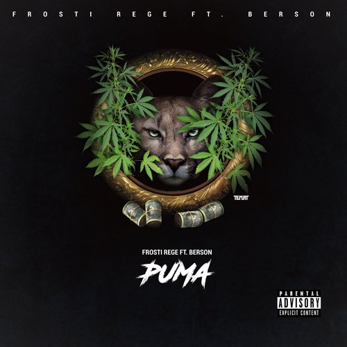 Puma_poster_image