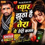Pyar Jhutha He Tere Teri Kasam