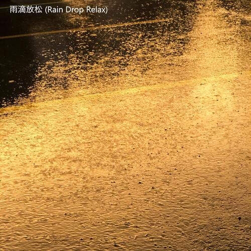 雨声和鸟鸣 cover art