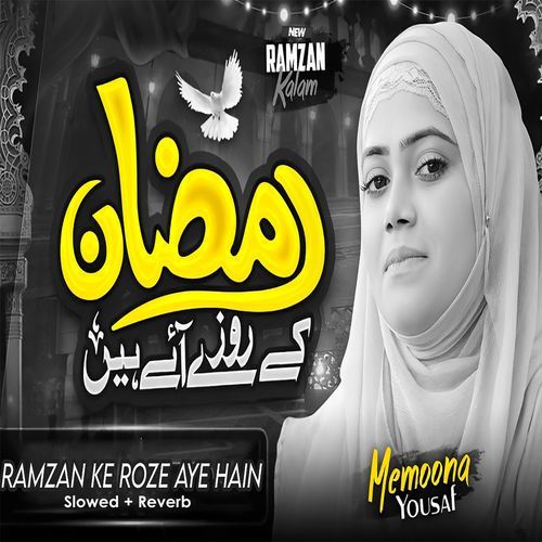 Ramzan Ke Roze Aye Hain (Lofi-Mix)