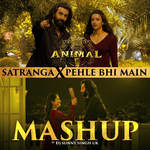 Satranga X Pehle Bhi Main Mashup(Remix By Dj Sunny Singh Uk)