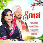 Senai artwork