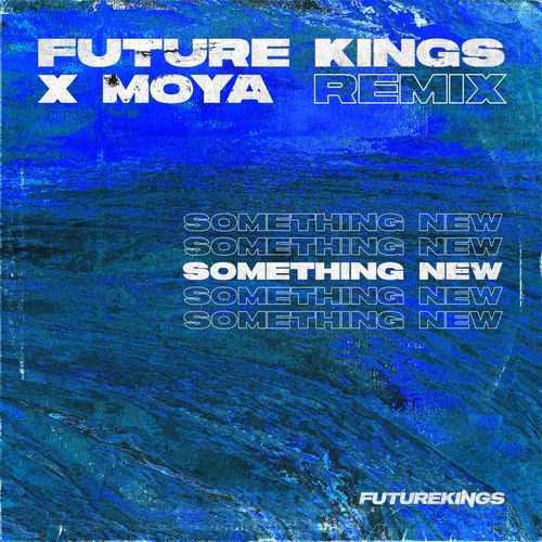 Something New (Future Kings Remix)_poster_image