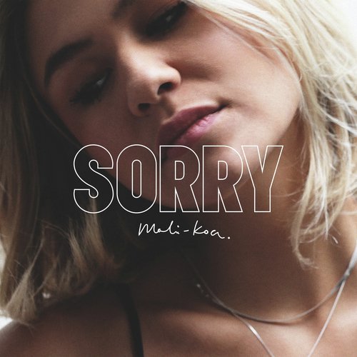 Sorry_poster_image