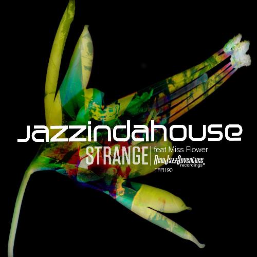 Strange (feat. Miss Flower) (Instrumental) cover art