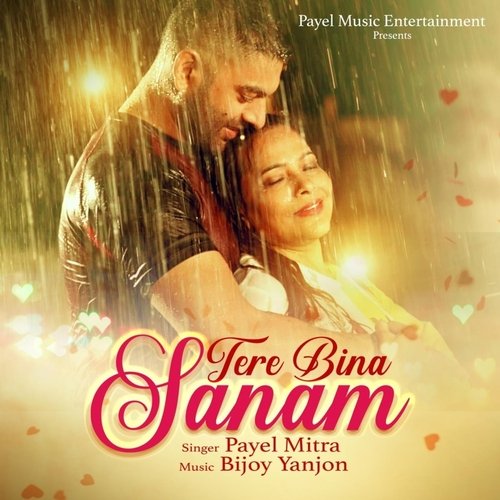 Tere Bina Sanam_poster_image