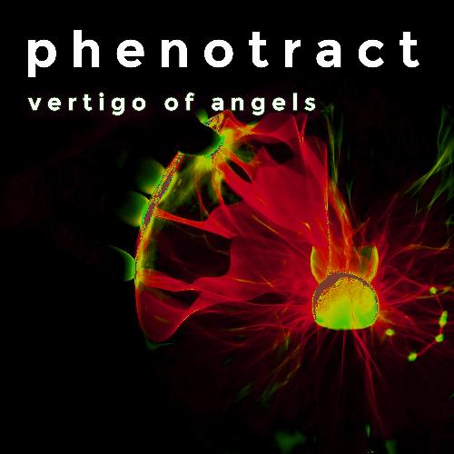 Vertigo Of Angels cover art