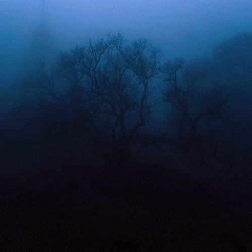 dreamescape