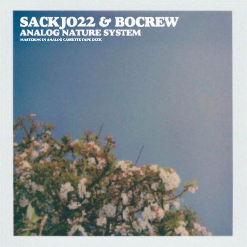 Analog Nature System