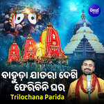 Bahuda Jatara Dekhi Pheribini Ghara