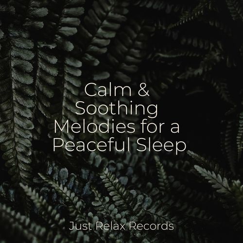 Serene Soundscapes cover art
