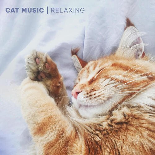 Cat Music Therapy cover art