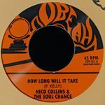 How Long Will It Take (feat. Nico Collins)