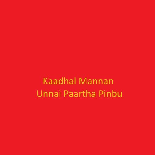 Unnai Paartha Pinbu