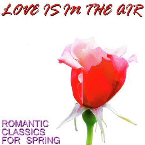 Love Is in the Air: Romantic Classics for Spring