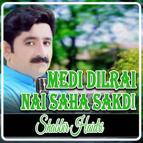 Medi Dilrai Nai Saha Sakdi