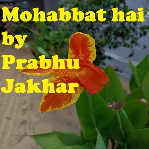 Mohabbat hai