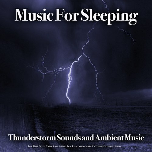 Music For Sleeping Ensemble cover art