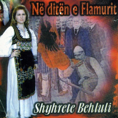 Në ditën e Flamurit_poster_image