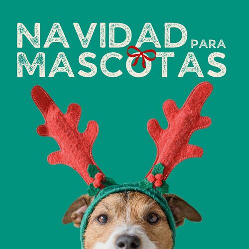 Relajar Perros cover art