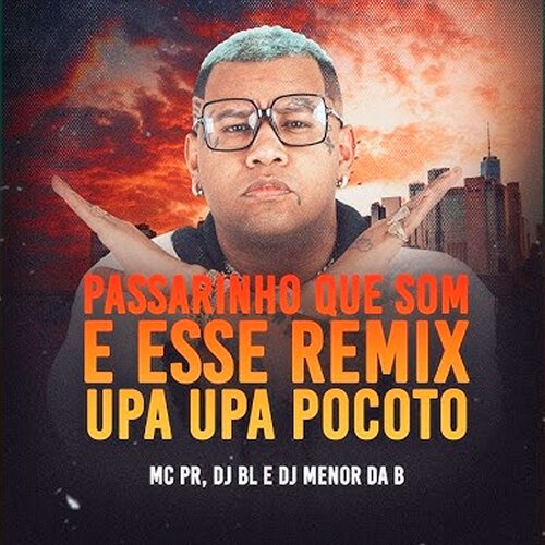 Passarinho Que Som É Esse? (Remix Upa Upa Pocotó)_poster_image