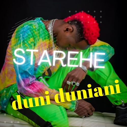 Starehe Duni cover art