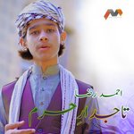 Tajdar E Haram