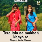 Tere lala ne makhan khayo re (Hindi Song)