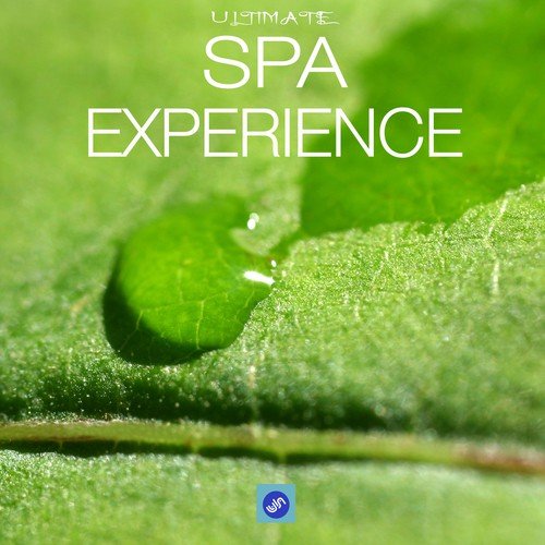 Ultimate Spa Experience
